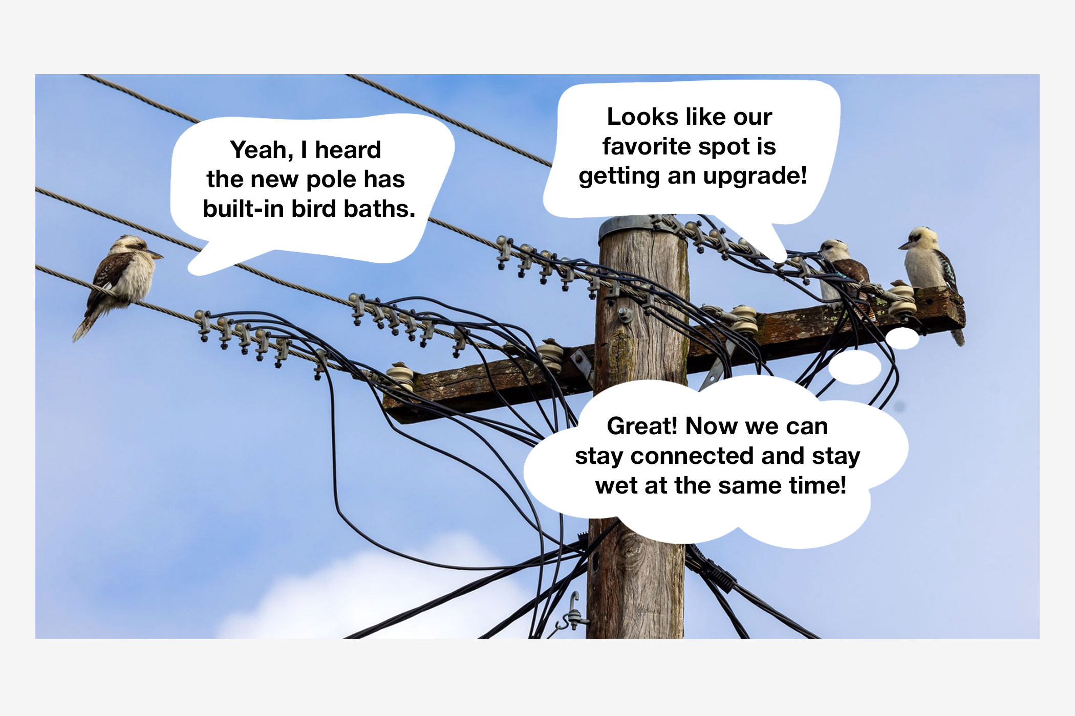 When and Why You Should Replace Your Power Pole in the Illawarra